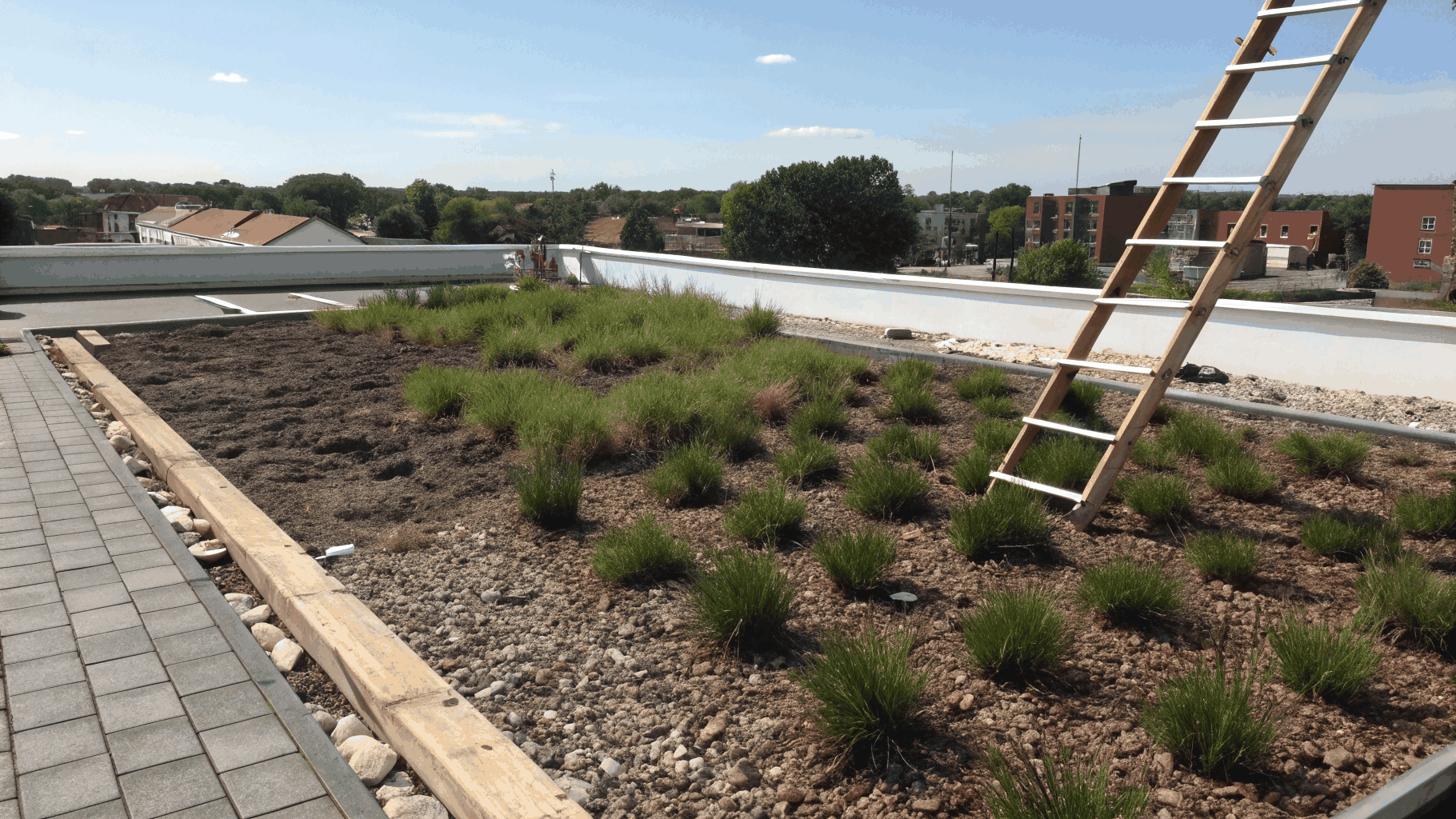 Before: Urban Concrete to Rooftop Oasis